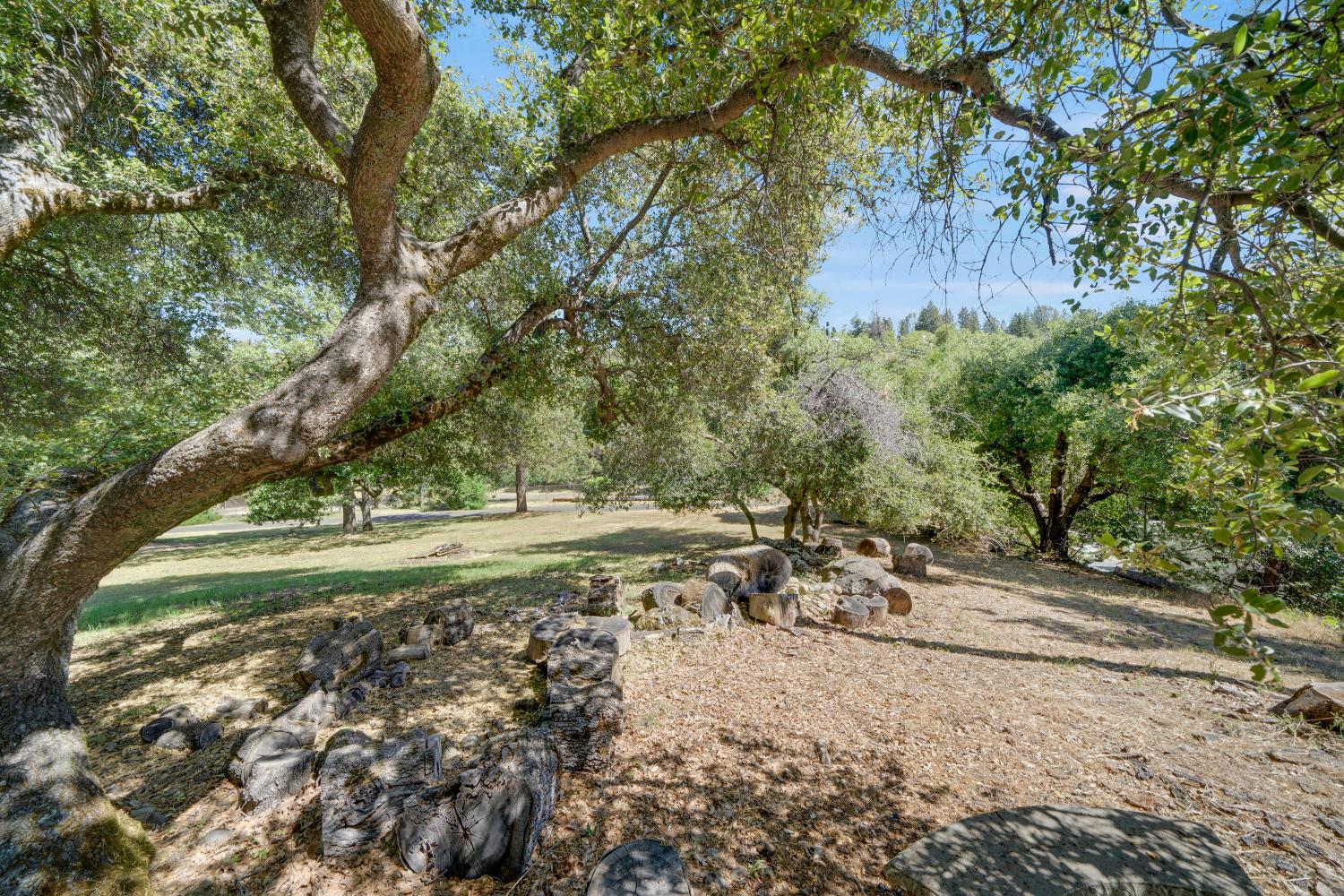 Paydirt Drive, Placerville, California image 38