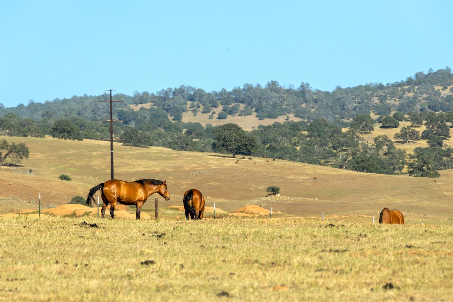 S Gulch Road, Valley Springs, California image 21