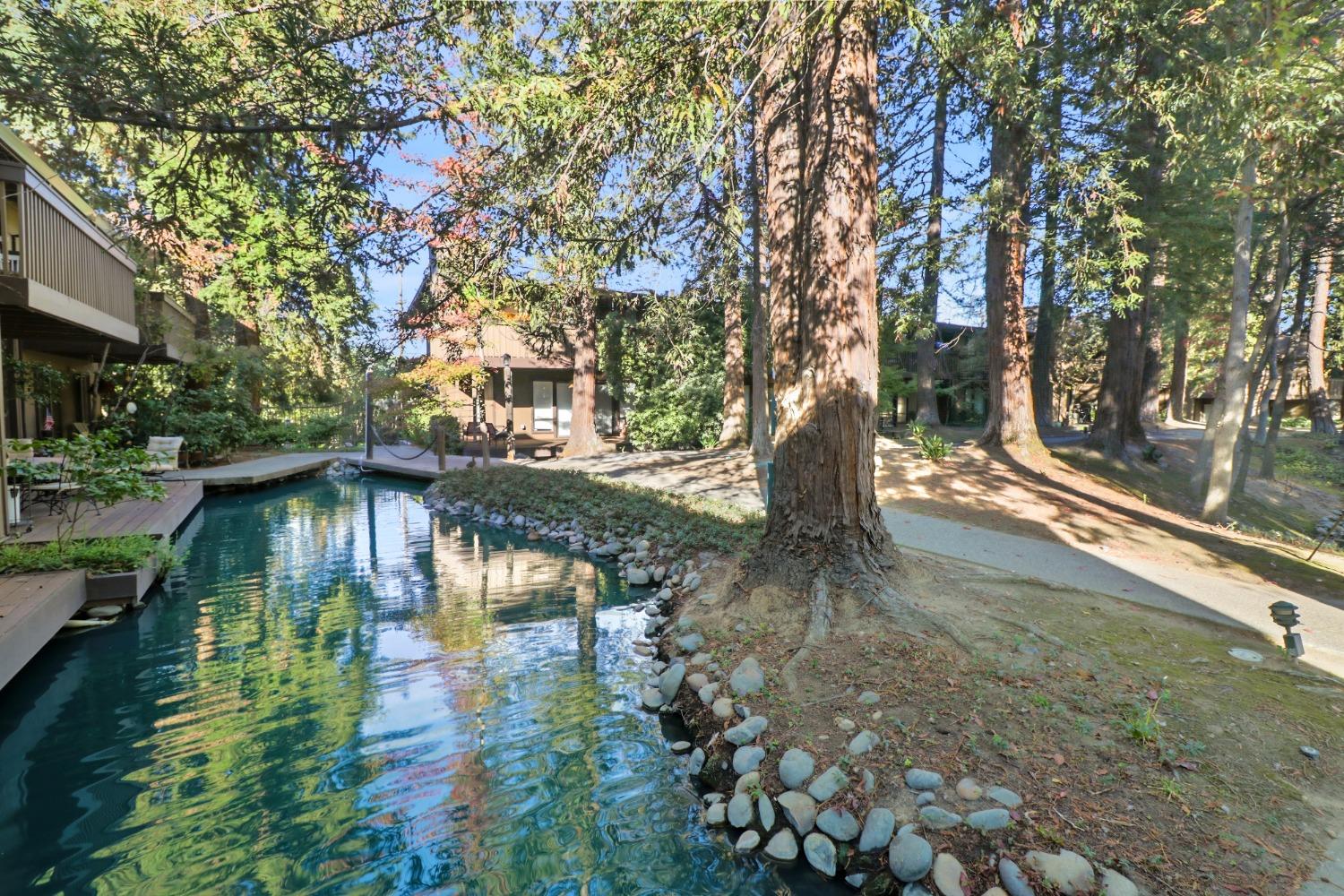 Photo #49: 225069098 Listing: Photo #49