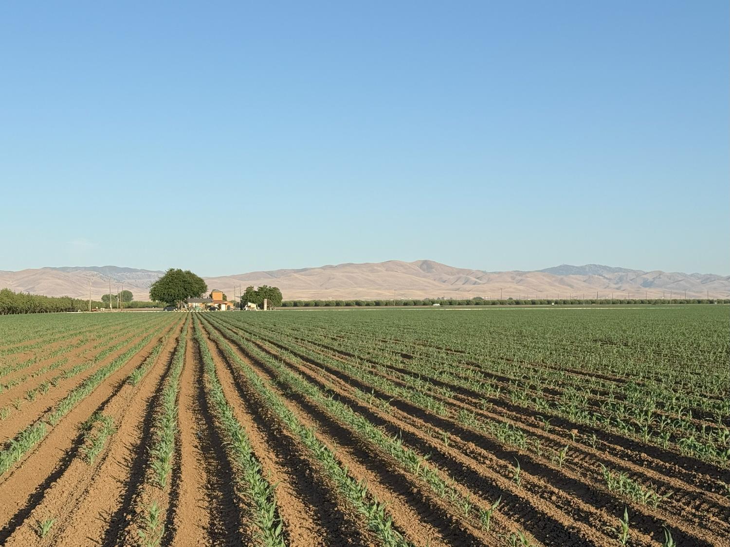 Ca-33, Crows Landing, California image 17