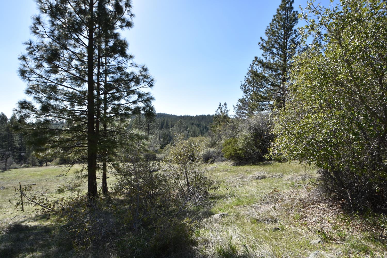 Provenza Drive, Oroville, California image 7