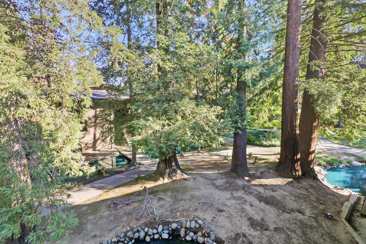Photo #31: 225069098 Listing: Photo #31