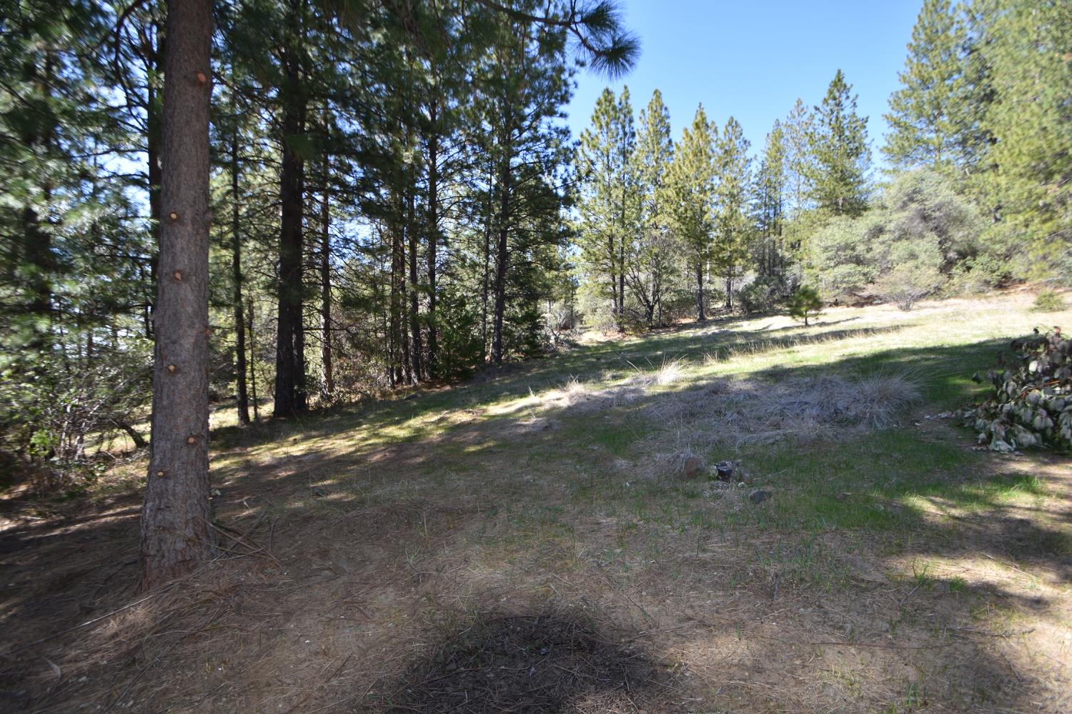 Provenza Drive, Oroville, California image 29