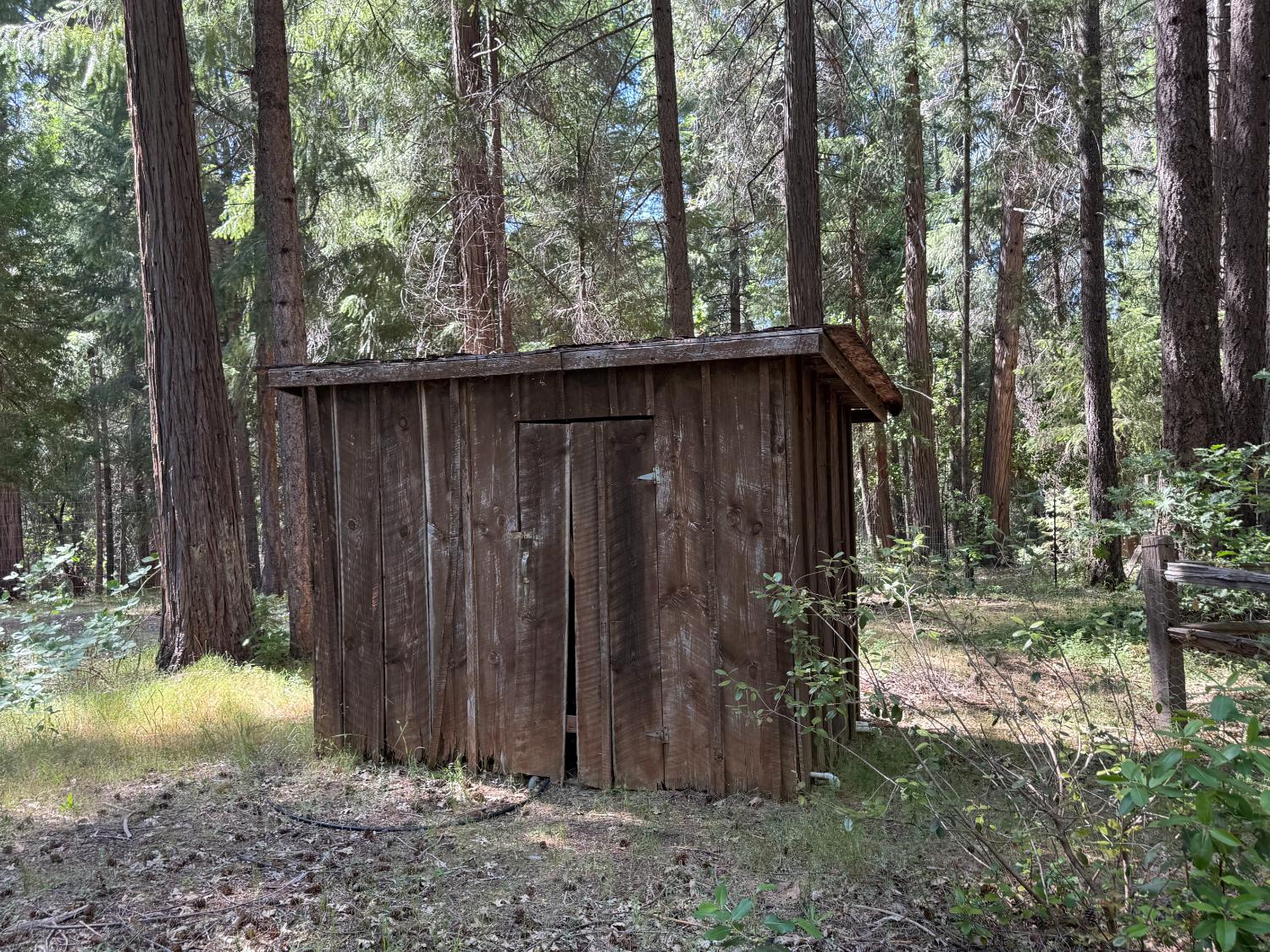 Rector Road, Nevada City, California image 33