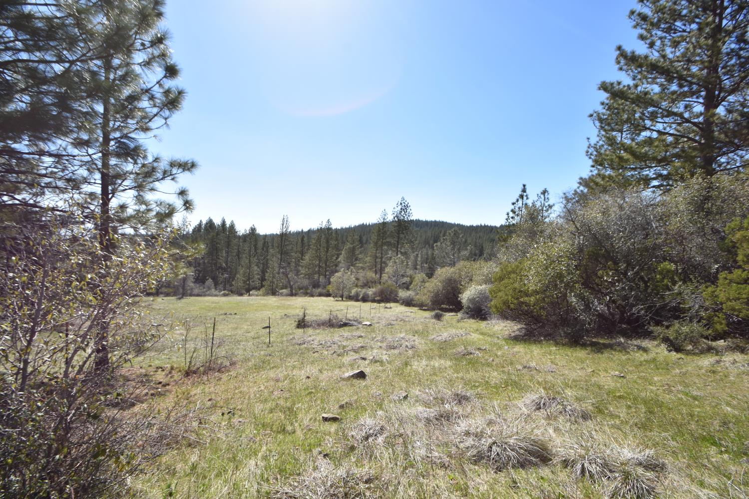 Provenza Drive, Oroville, California image 42