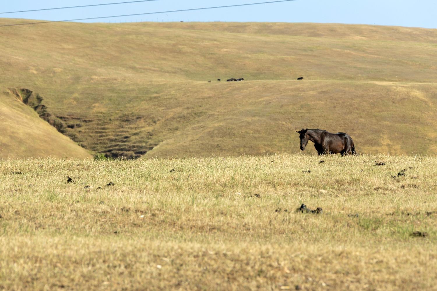 S Gulch Road, Valley Springs, California image 26