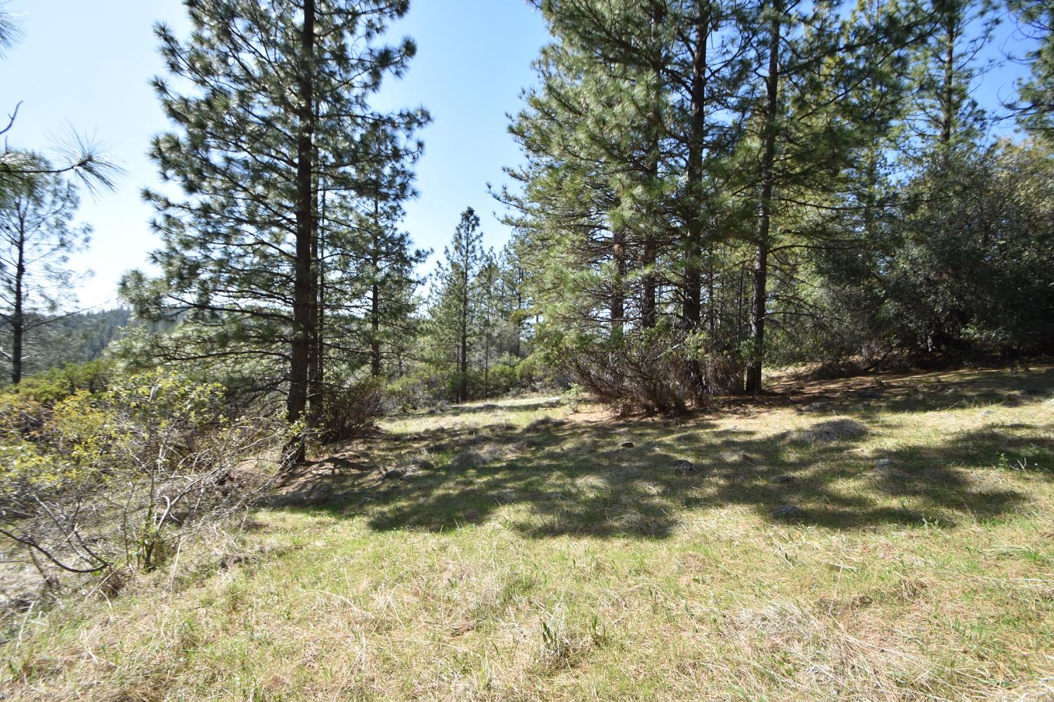 Provenza Drive, Oroville, California image 33