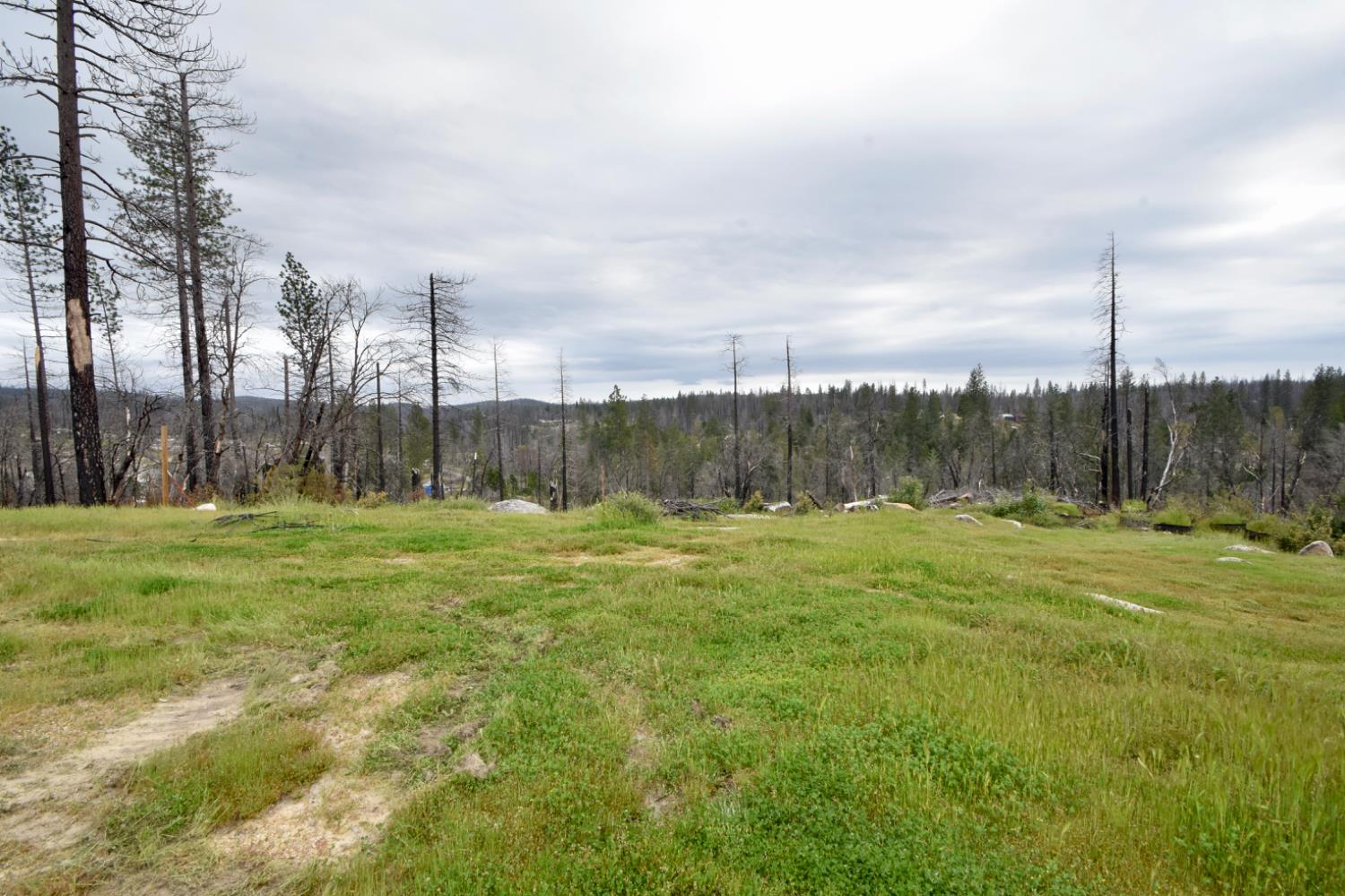 Oak Drive, Berry Creek, California image 6