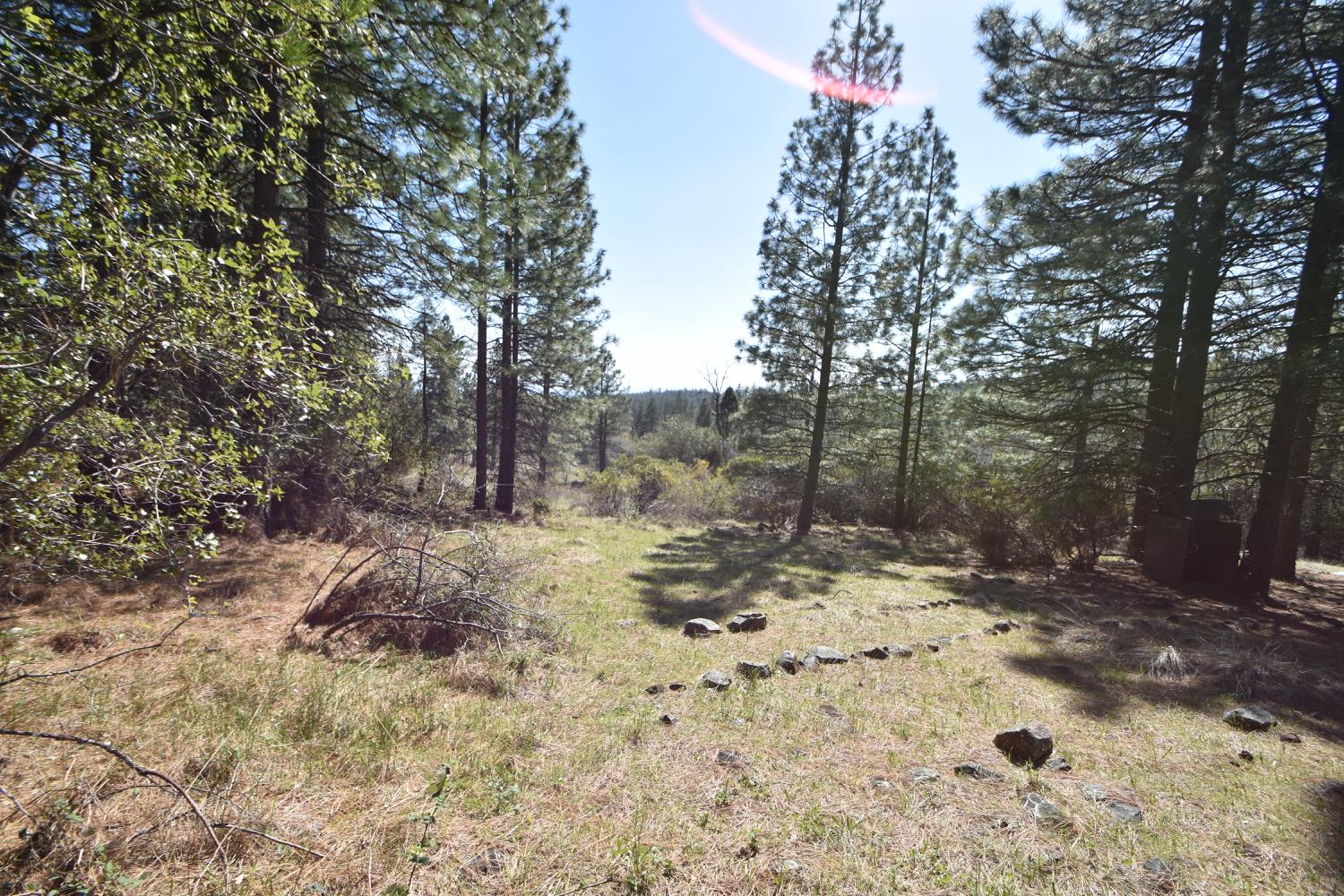 Provenza Drive, Oroville, California image 32