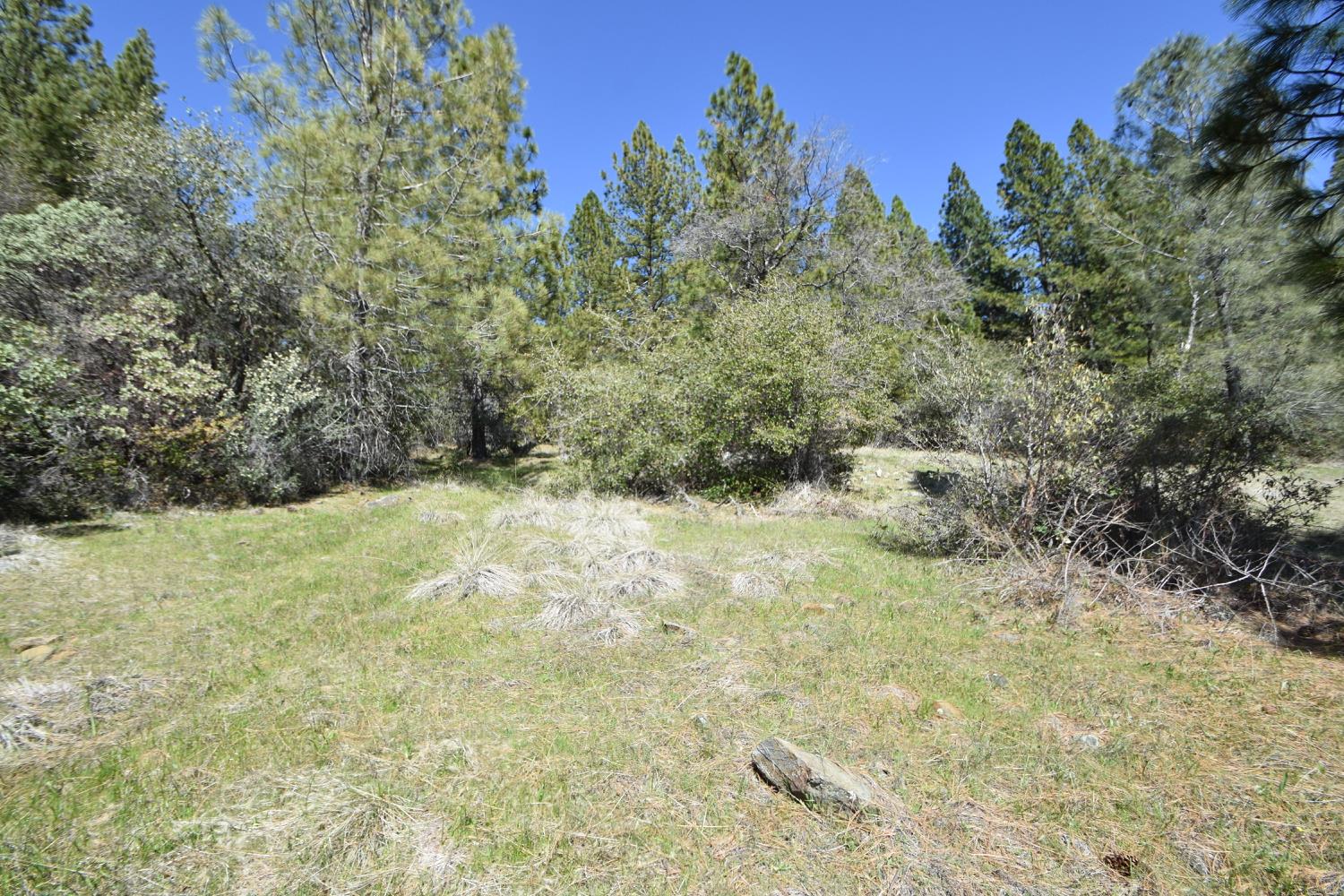 Provenza Drive, Oroville, California image 43