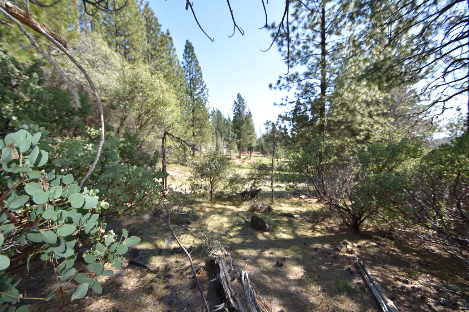 Provenza Drive, Oroville, California image 25