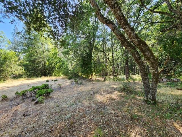 Brockman Mill Road, Fiddletown, California image 41
