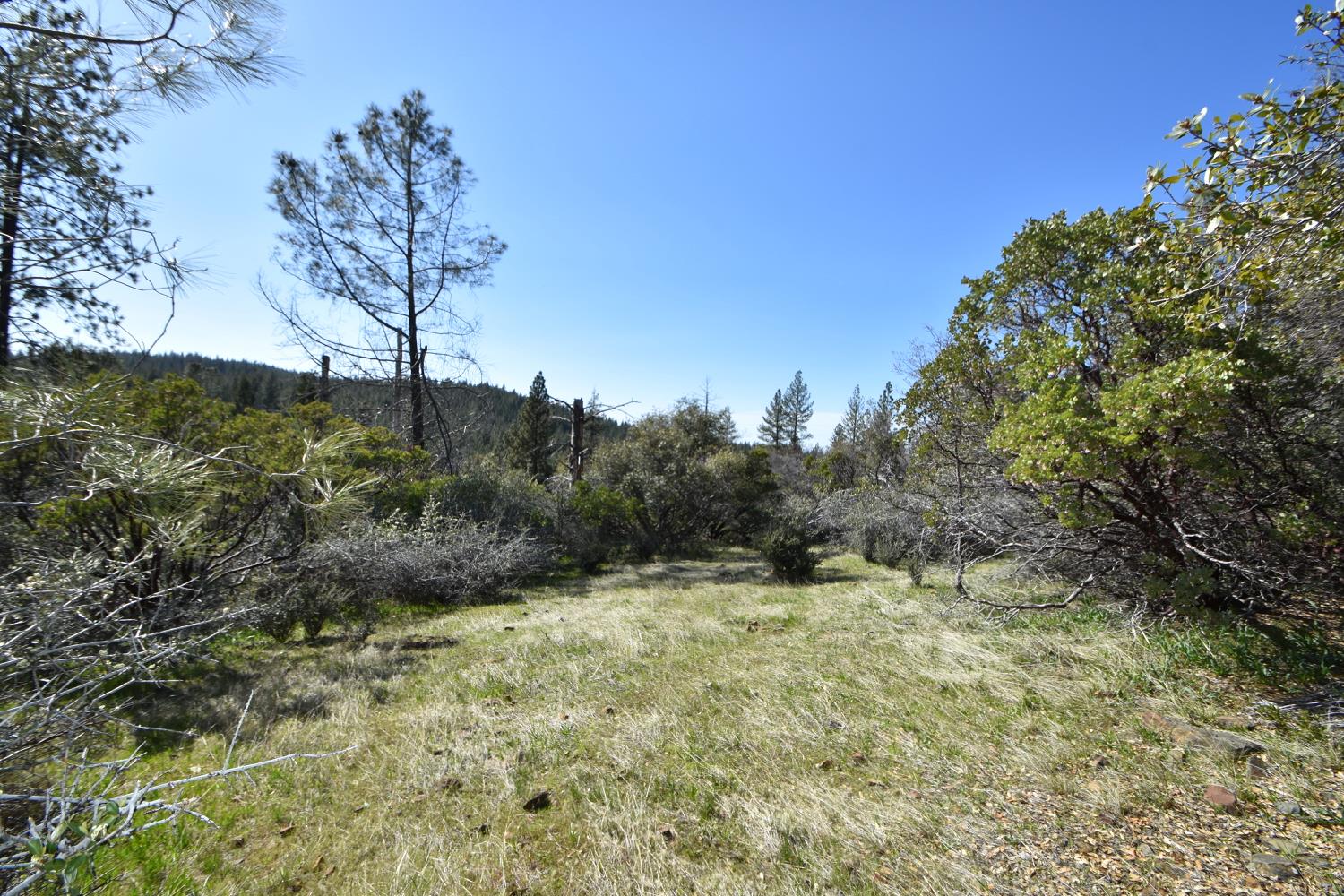 Provenza Drive, Oroville, California image 2