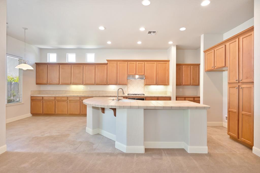 Terrace Cove Court, Folsom, California image 19