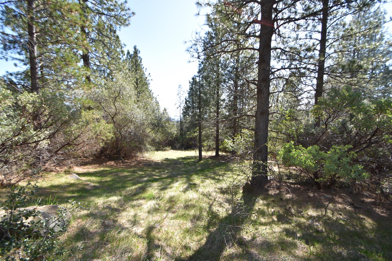 Provenza Drive, Oroville, California image 11