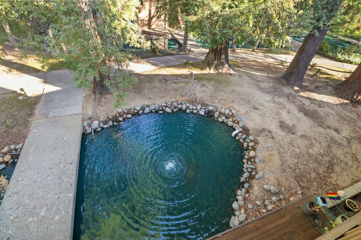 Photo #32: 225069098 Listing: Photo #32