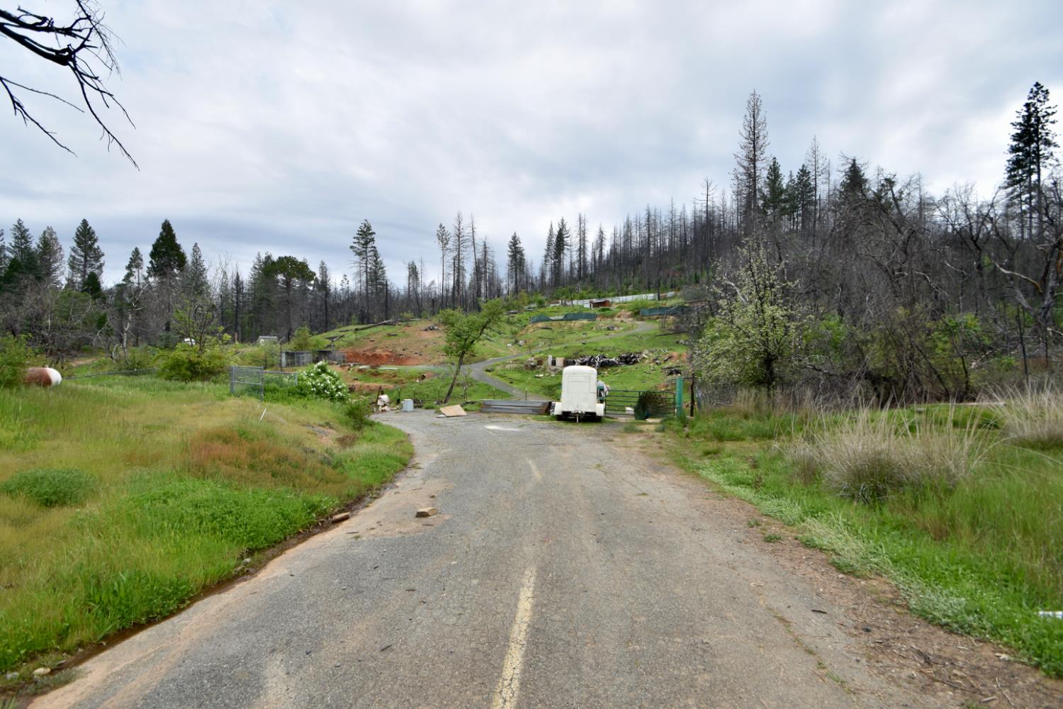 Oak Drive, Berry Creek, California image 19