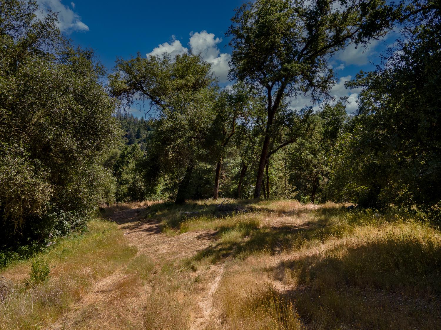 Riverfront Trail, El Dorado, California image 9