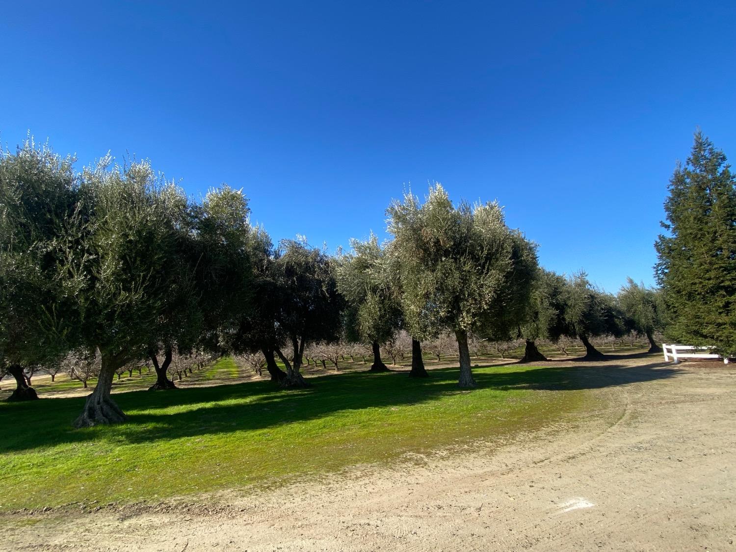 Yosemite Boulevard, Modesto, California image 16