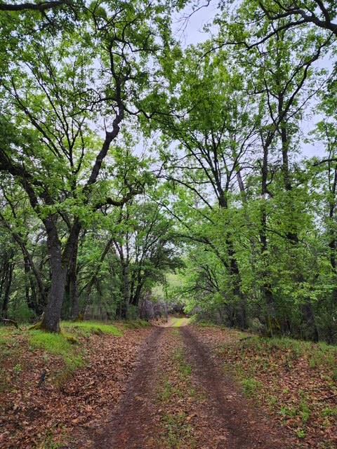 Brockman Mill Road, Fiddletown, California image 19