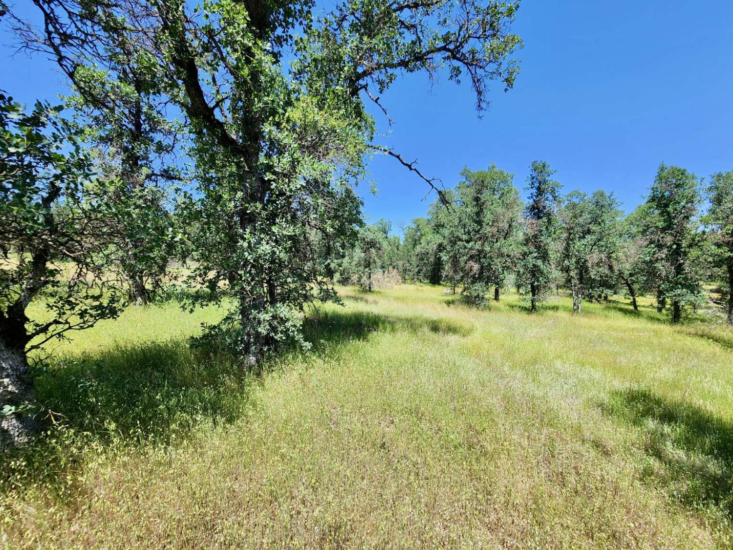 Two Feathers Road, Cottonwood, California image 27