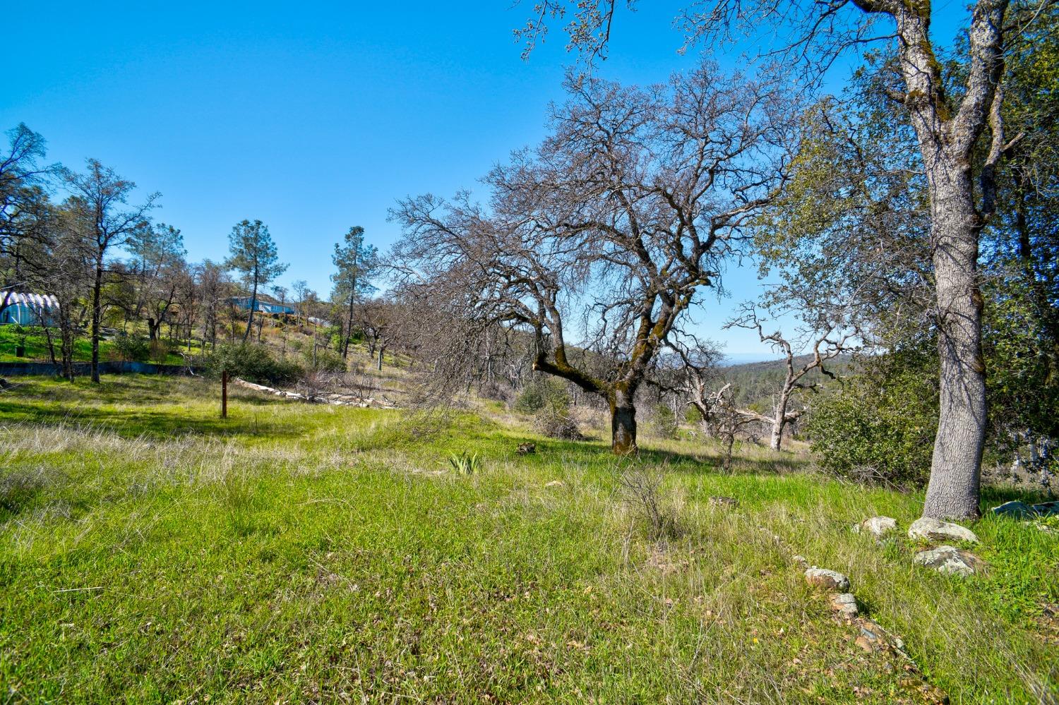 Stoney Oaks Boulevard, Oroville, California image 28