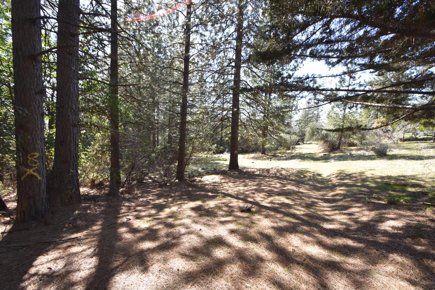 Provenza Drive, Oroville, California image 19