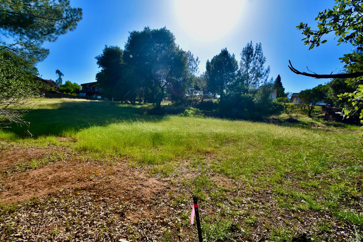 Jack Hill Drive, Oroville, California image 7