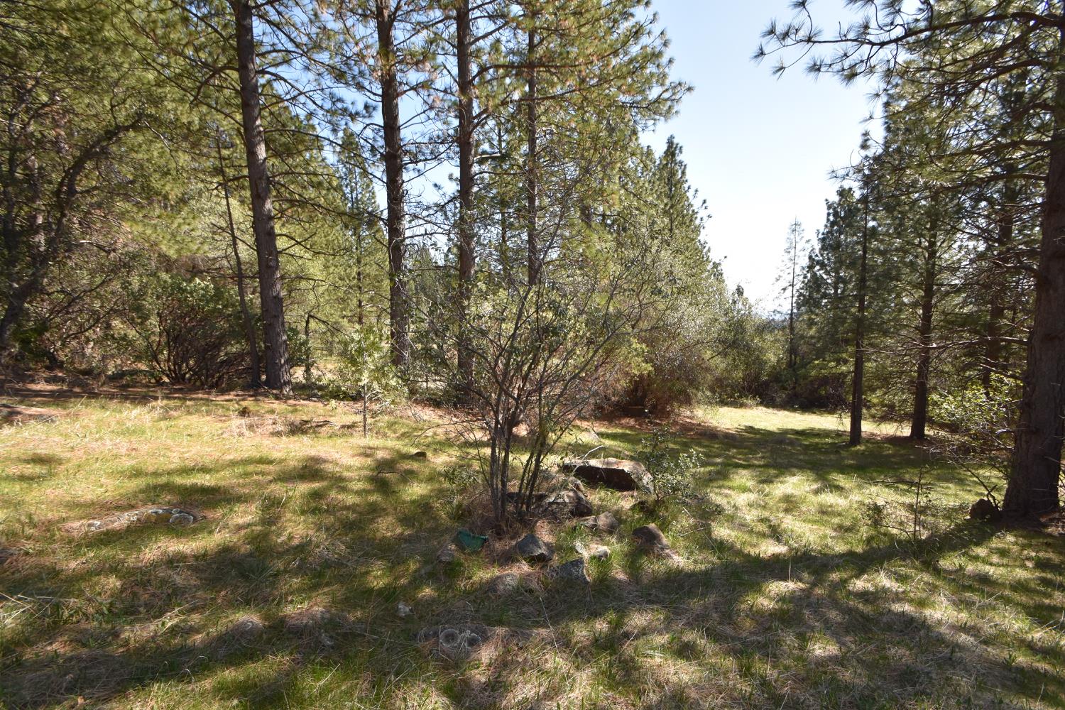 Provenza Drive, Oroville, California image 12