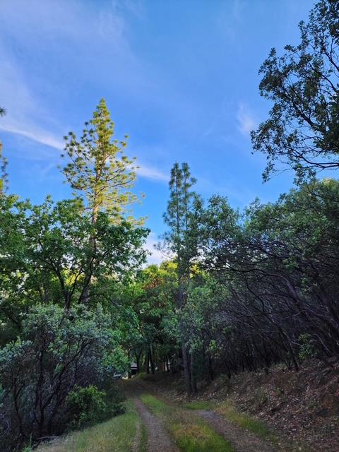 Brockman Mill Road, Fiddletown, California image 36