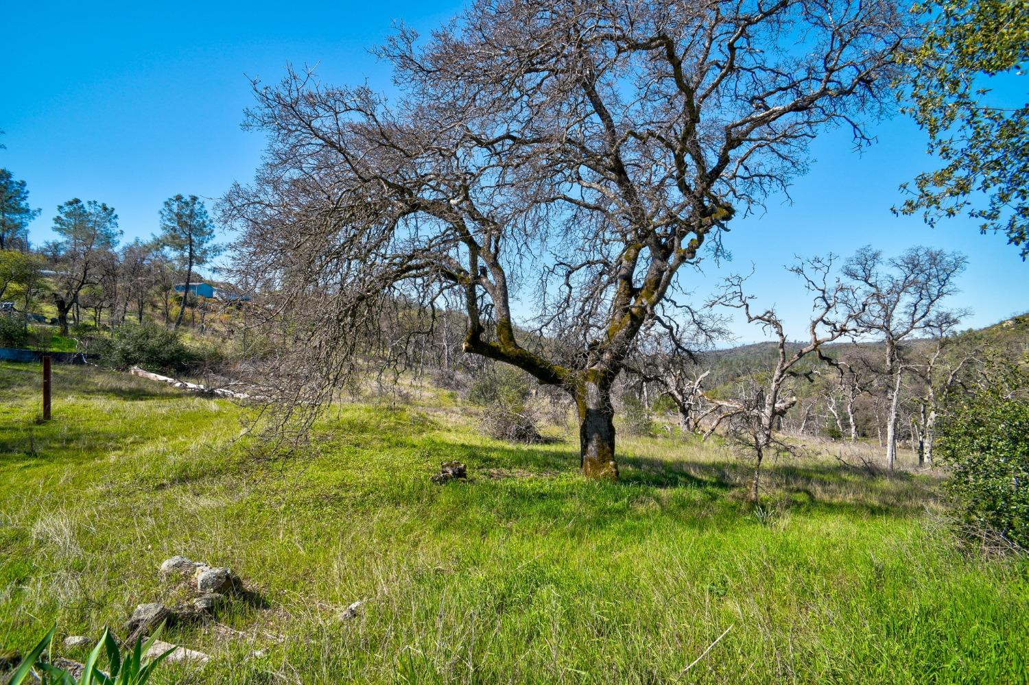 Stoney Oaks Boulevard, Oroville, California image 30