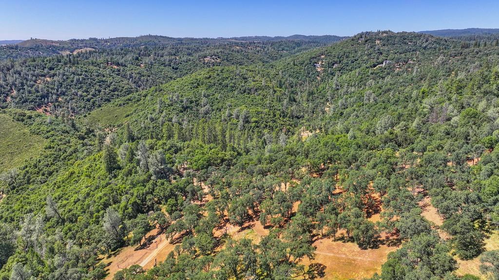 Garden Park Drive, Garden Valley, California image 18