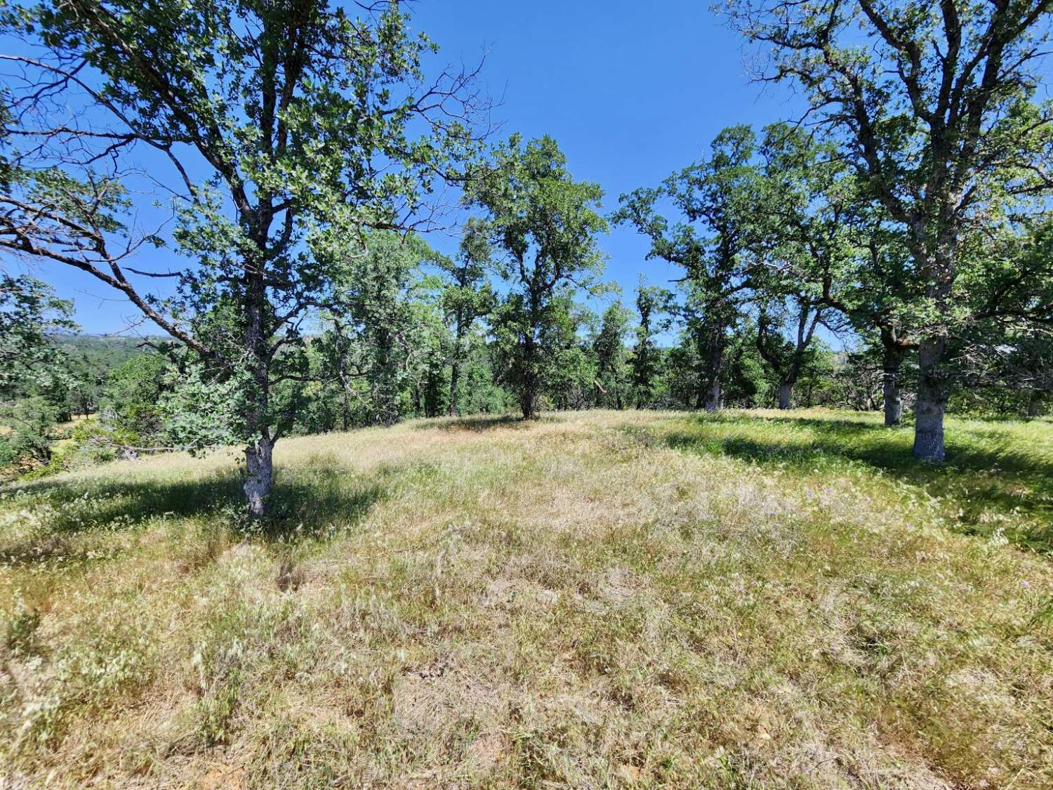 Two Feathers Road, Cottonwood, California image 30