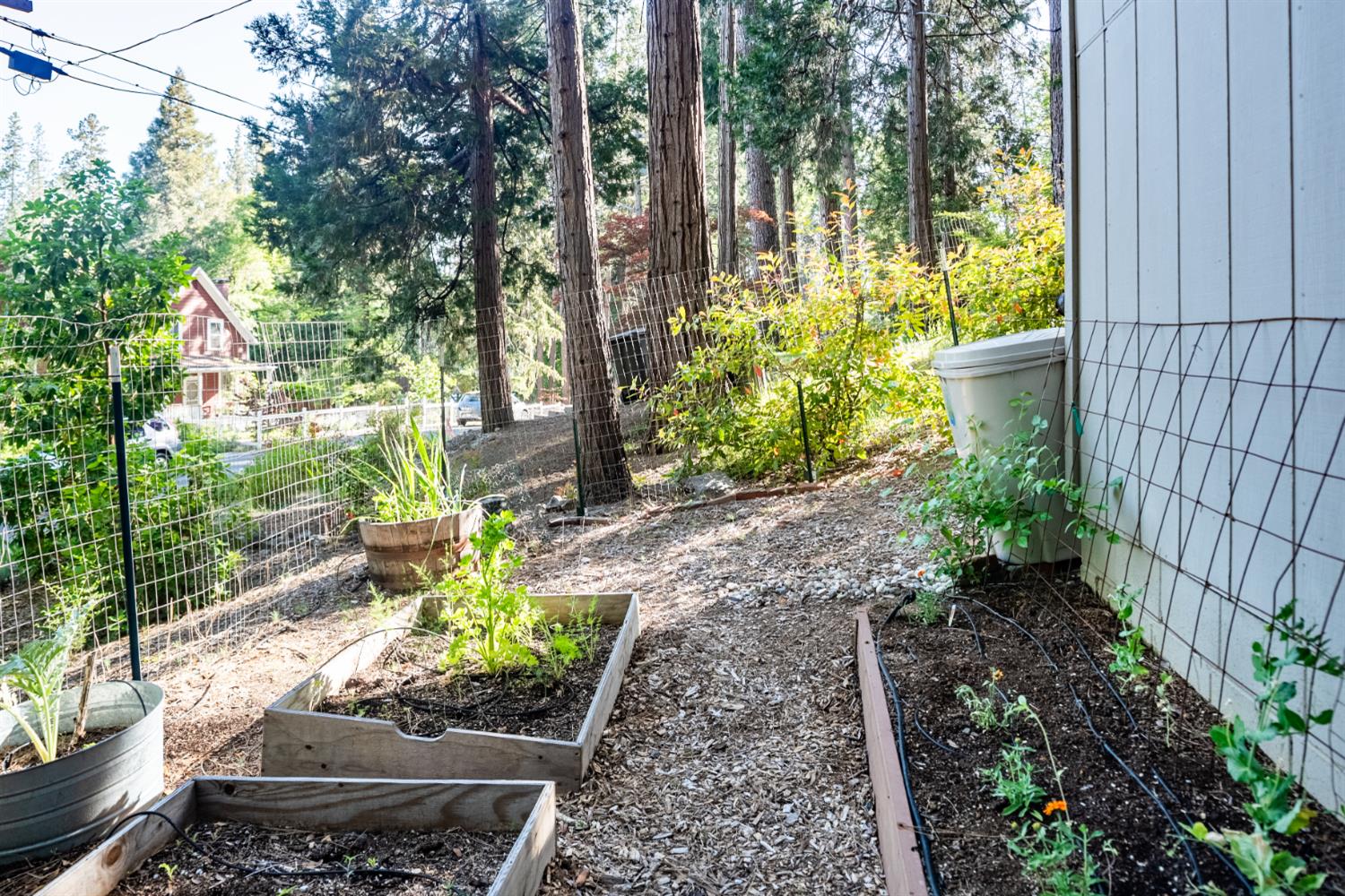 Grove Street, Nevada City, California image 29