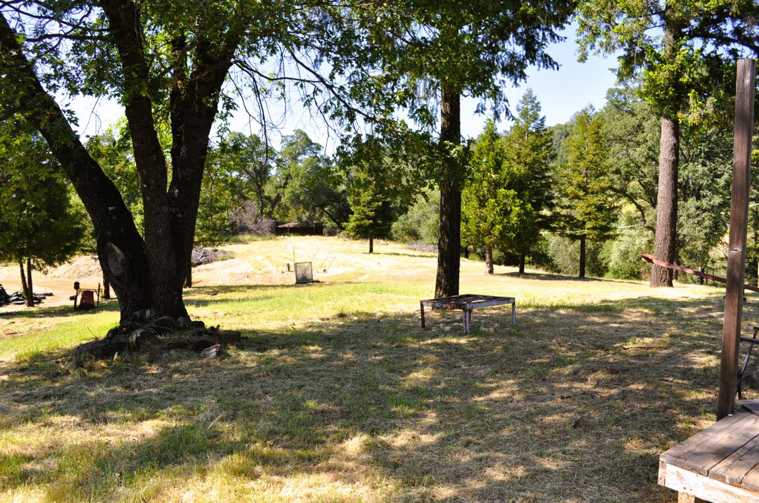 Magic Morgan Trail, Cool, California image 7