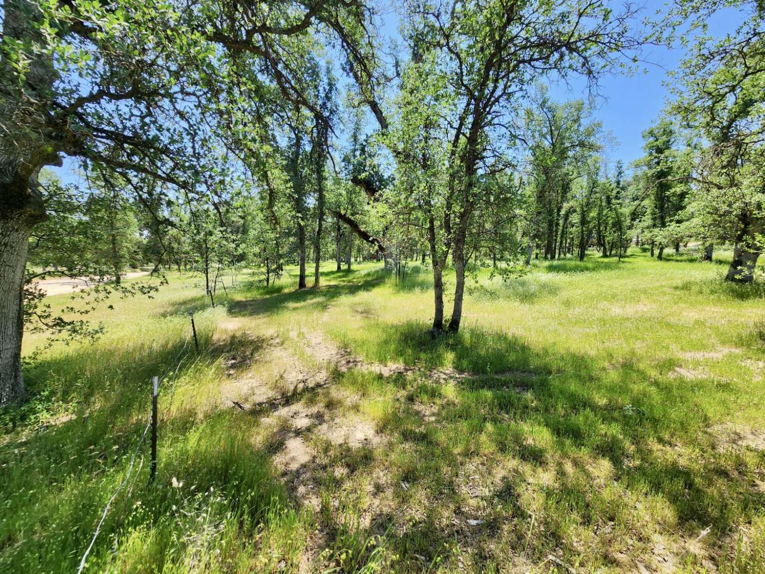 Two Feathers Road, Cottonwood, California image 22