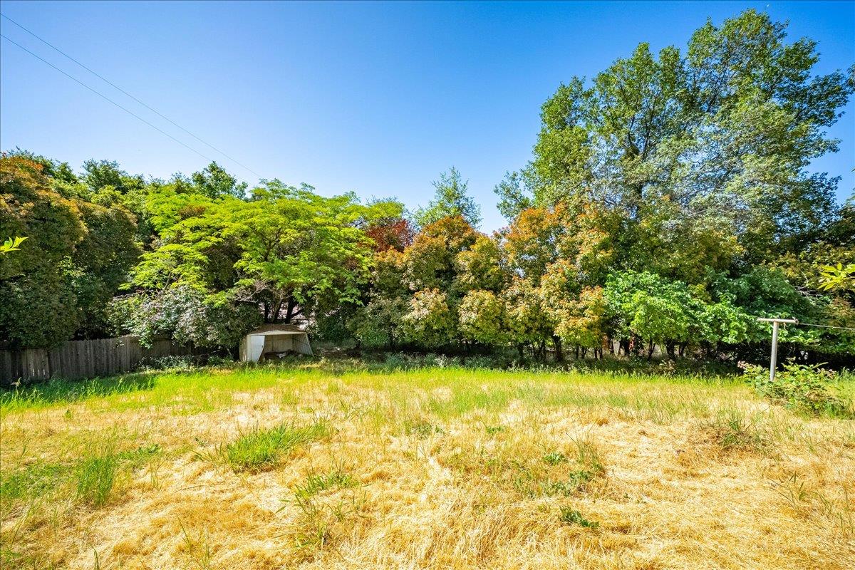 Judy Drive, Placerville, California image 45