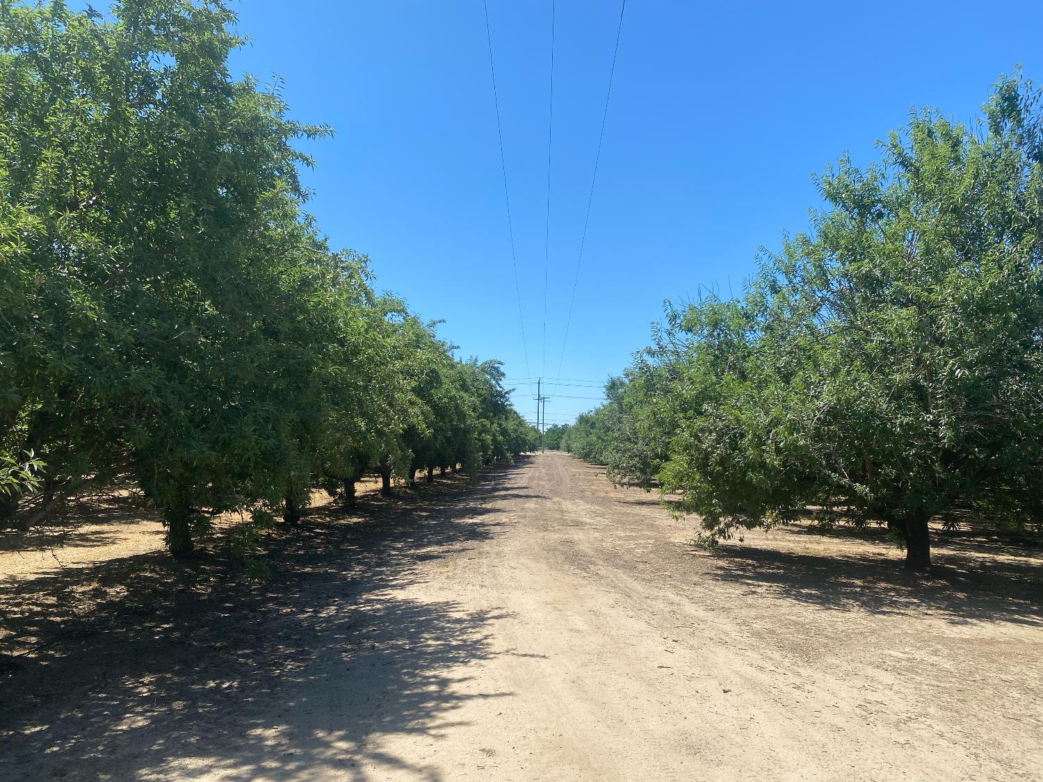 Yosemite Boulevard, Modesto, California image 21
