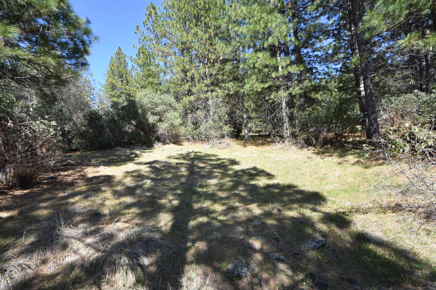 Provenza Drive, Oroville, California image 35