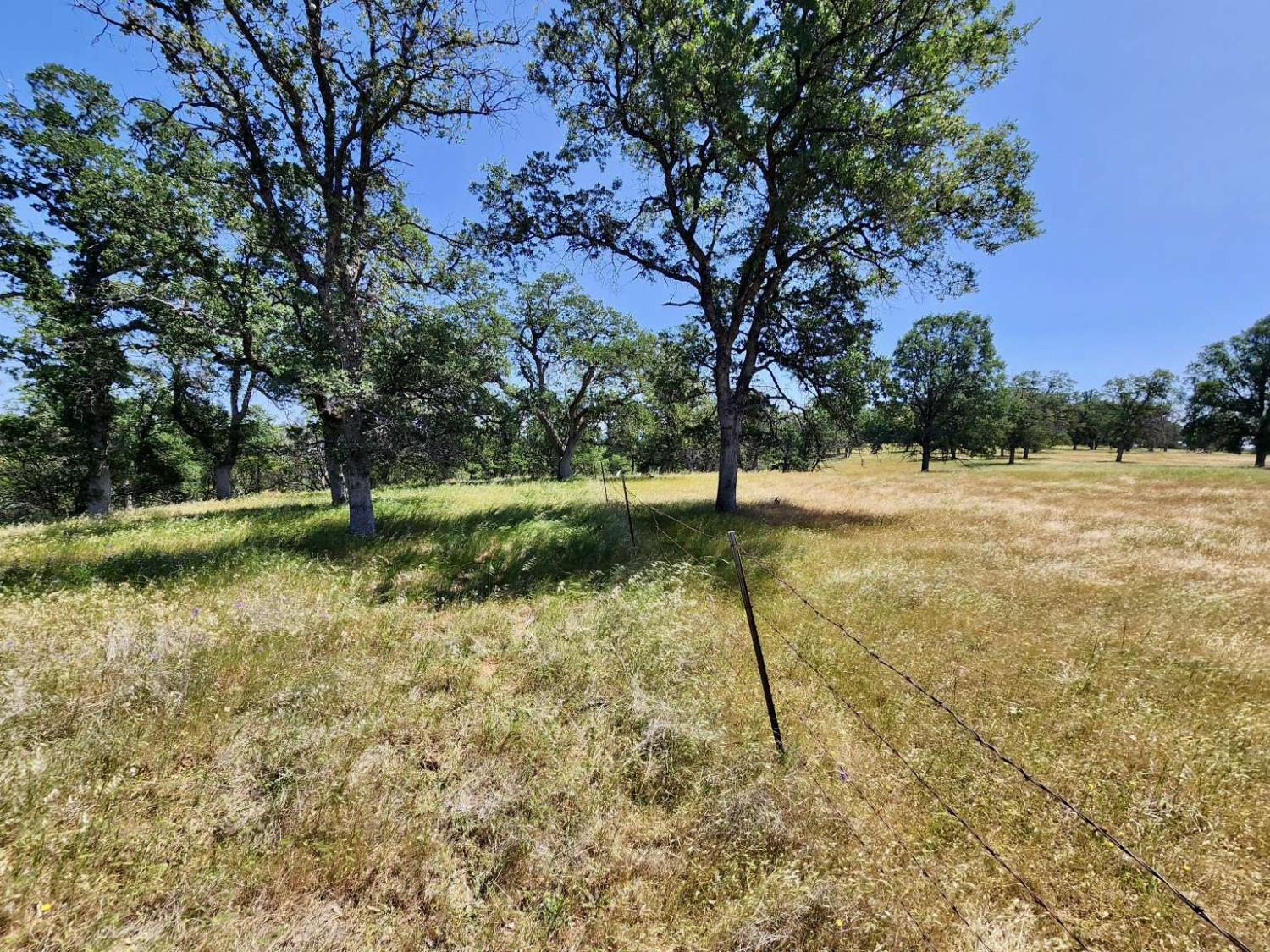 Two Feathers Road, Cottonwood, California image 31