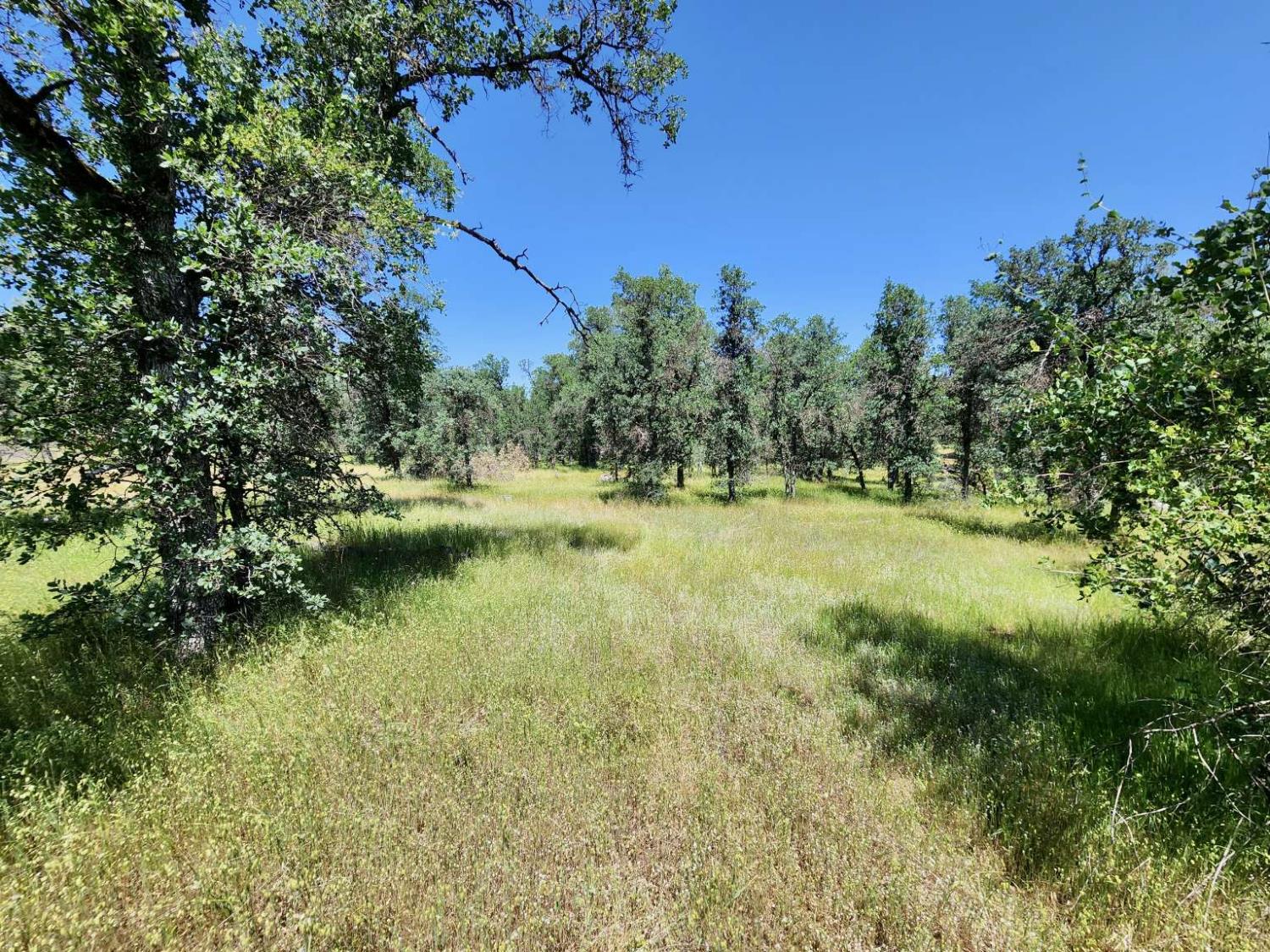 Two Feathers Road, Cottonwood, California image 26