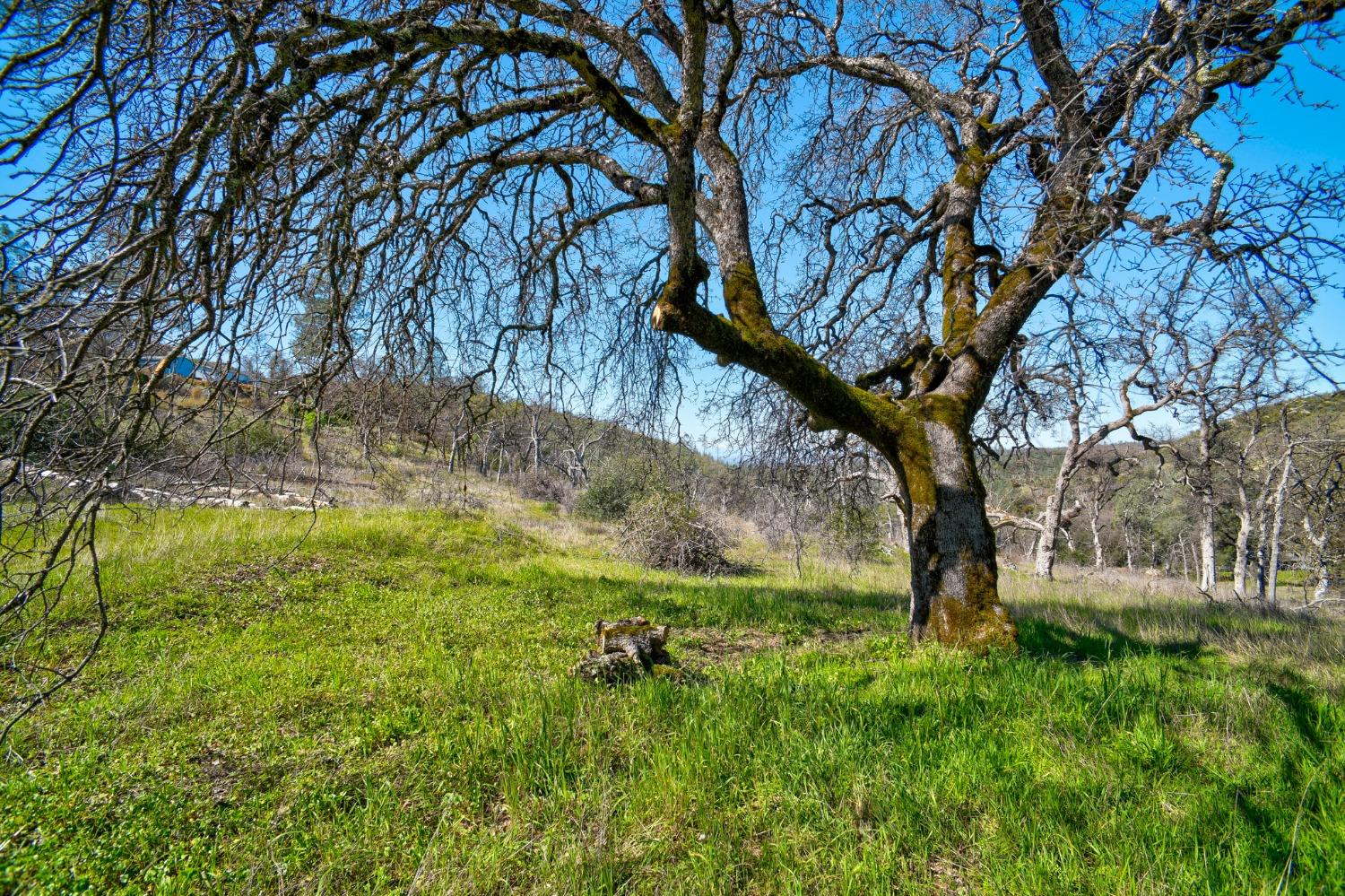 Stoney Oaks Boulevard, Oroville, California image 31