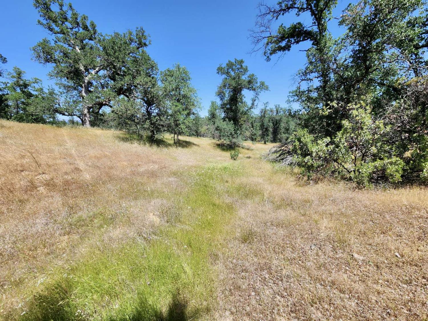 Two Feathers Road, Cottonwood, California image 28