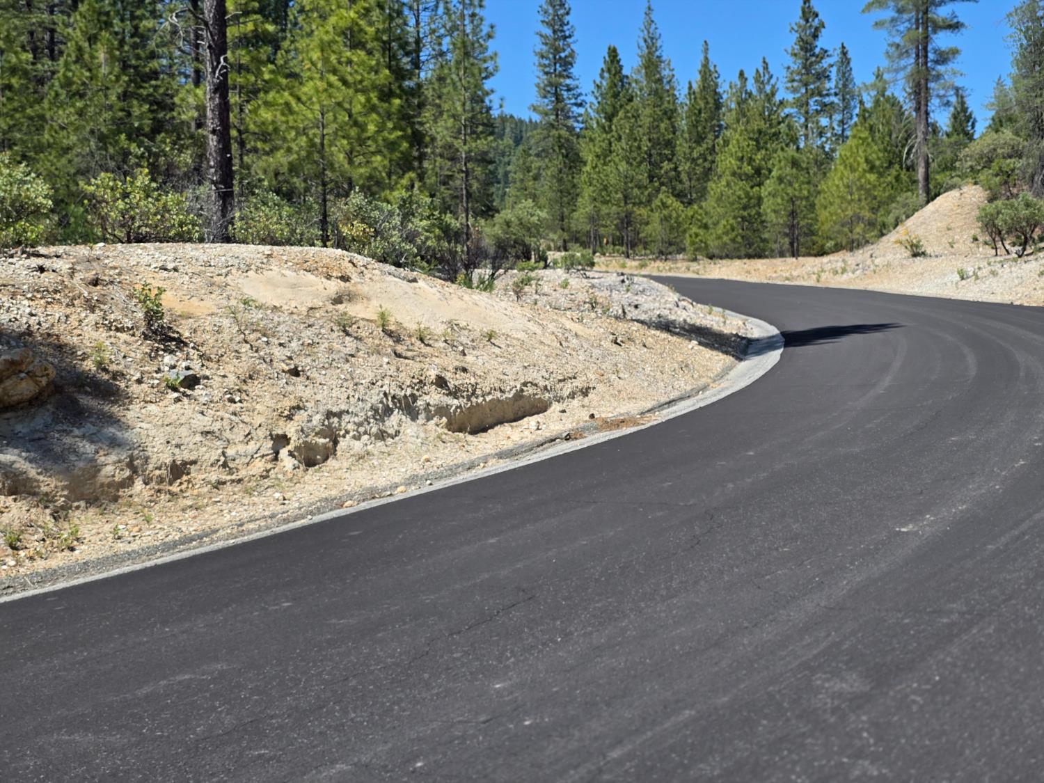 Sailor Flat Road, Nevada City, California image 9
