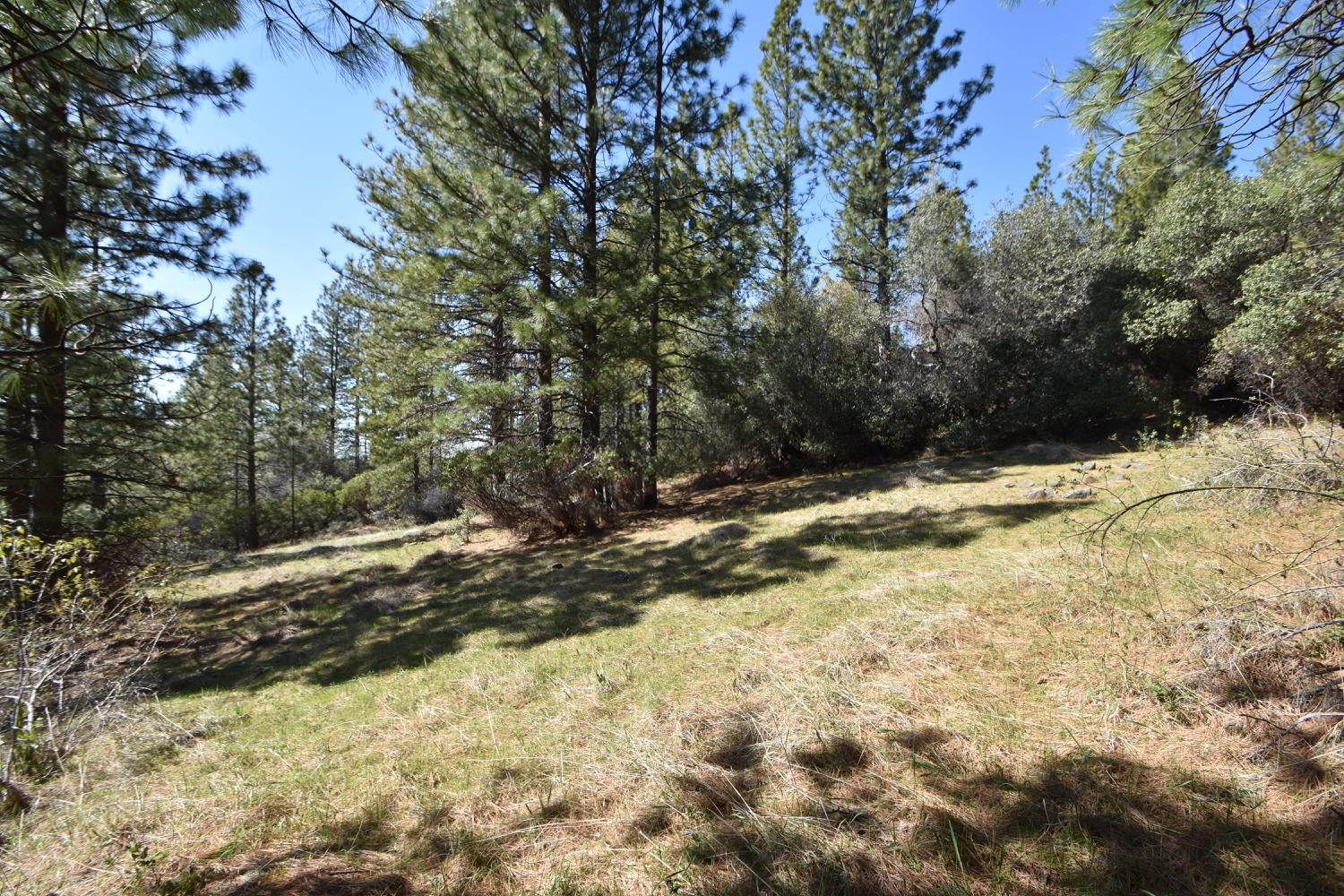 Provenza Drive, Oroville, California image 34