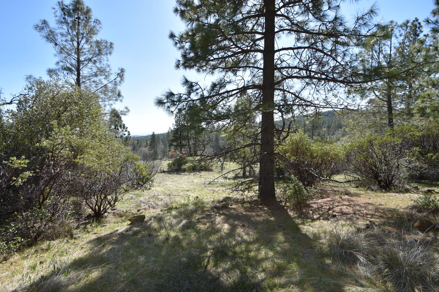 Provenza Drive, Oroville, California image 36