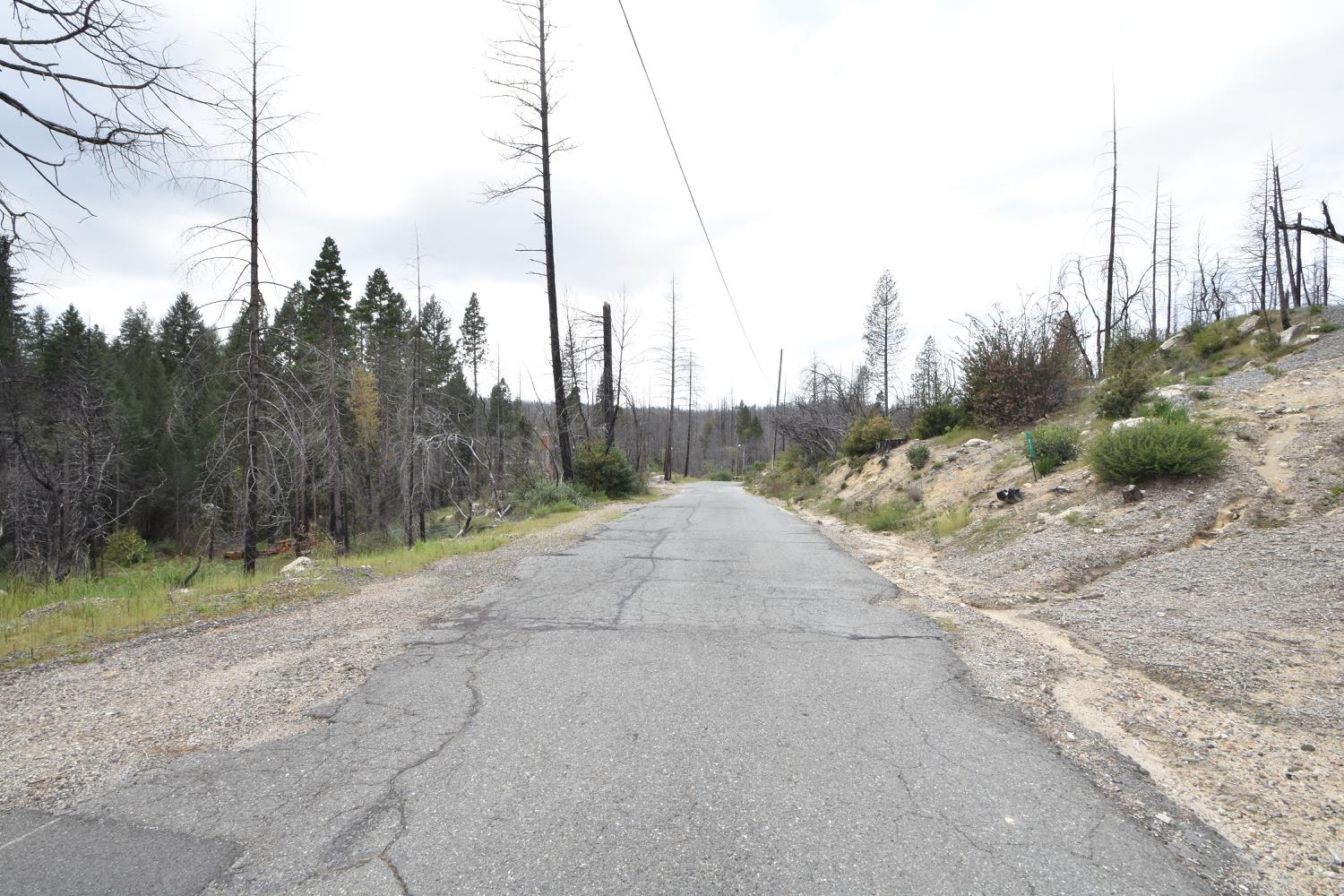 Oak Drive, Berry Creek, California image 26