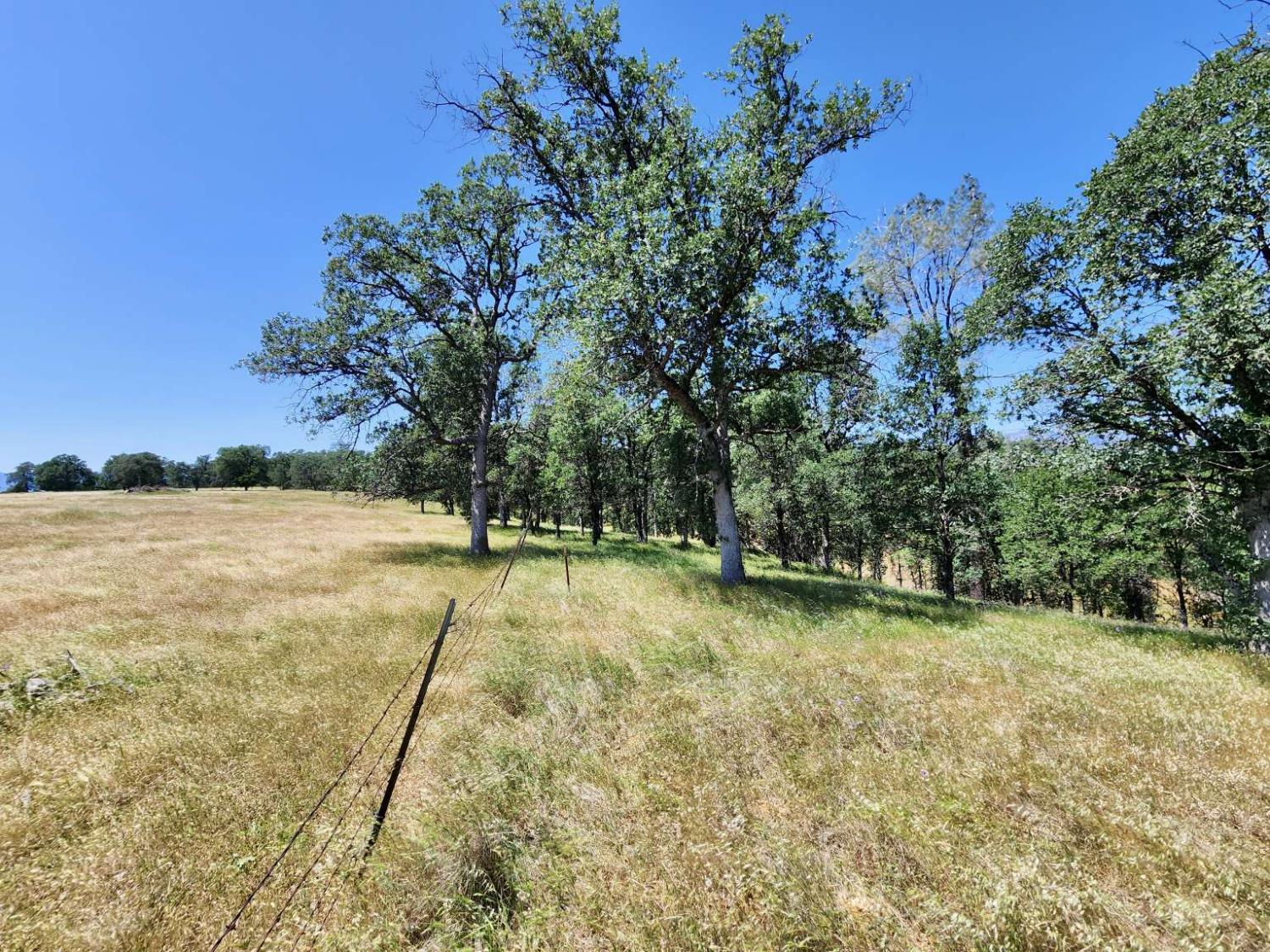 Two Feathers Road, Cottonwood, California image 29