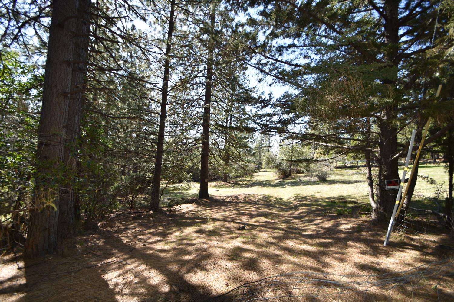 Provenza Drive, Oroville, California image 16