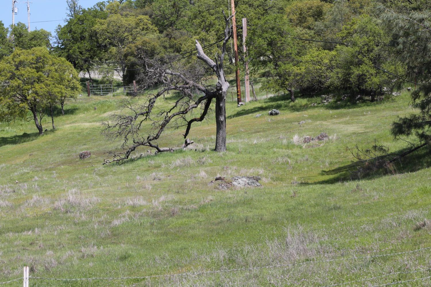 Luneman Road, Placerville, California image 26